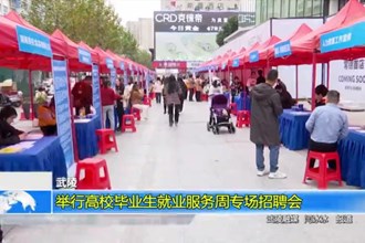 武陵：举行高校毕业生就业服务周专场招聘会