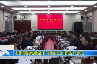 市领导到临澧征求《政府工作报告》意见