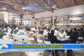 湖南文理学院：组织新进教师体验常德非遗麻质画