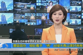 澧县政协：细处着手 “绣”出绿水青山美好画卷