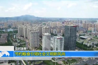 节约粮食引领社会文明新风尚