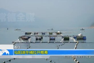 石门：仙阳湖冬捕拉开帷幕