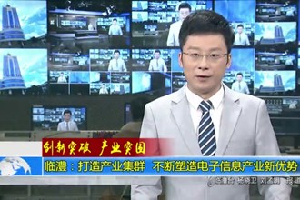 临澧：打造产业集群 不断塑造电子信息产业新优势