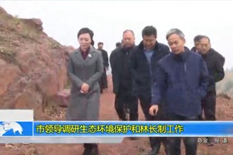 市领导调研生态环境保护和林长制工作
