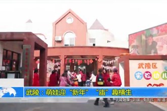 武陵：萌娃迎“新年” “庙”趣横生