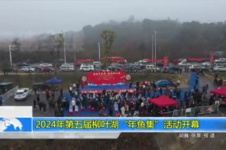 2024年第五届柳叶湖“年鱼集”活动开幕