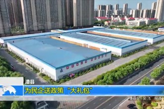 澧县： 为民企送政策“大礼包”