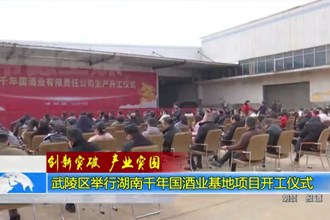 武陵区举行湖南千年国酒业基地项目开工仪式