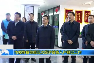 市领导督导第五次经济普查入户登记工作