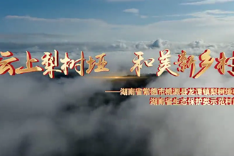 桃源县龙潭镇梨树垭村村庄规划