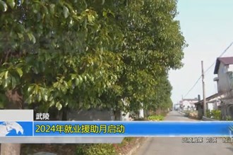 武陵：2024年就业援助月启动