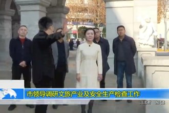 市领导调研文旅产业及安全生产检查工作