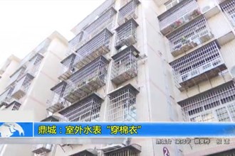鼎城：室外水表“穿棉衣”