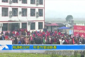 桃源乾元村：年货节里迎新春