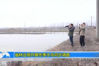 省林业局开展冬季水鸟同步调查