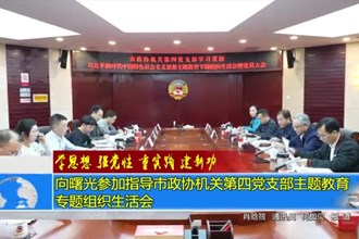 向曙光参加指导市政协机关第四党支部主题教育专题组织生活会