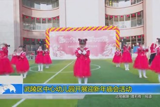 武陵区中心幼儿园开展迎新年庙会活动