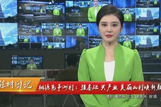驻村日记 桃源芭茅洲村：强基础 兴产业 美丽山村焕新颜