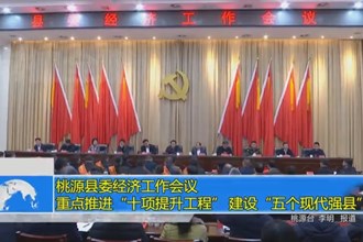 桃源县委经济工作会议 重点推进“十项提升工程” 建设“五个现代强县”