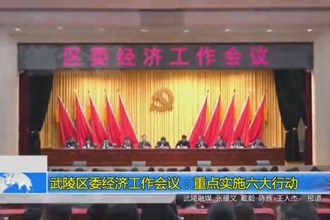 武陵区委经济工作会议：重点实施六大行动