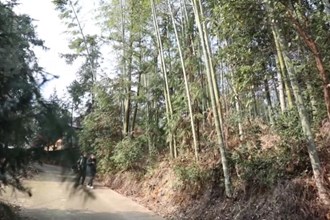 鼎城：冬笋炖腊肉 冬日舌尖美味“上线”