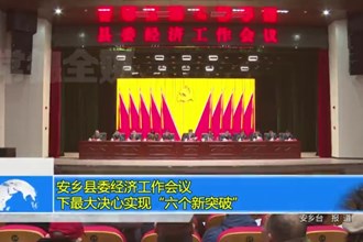 安乡县委经济工作会议：下最大决心实现“六个新突破”