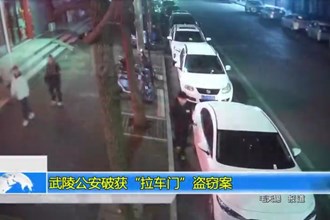 武陵公安破获“拉车门”盗窃案