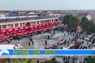 澧县：举办首届“回味”年货节