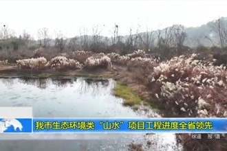 常德市生态环境类“山水”项目工程进度全省领先