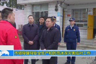 市领导督导安全生产和防范冰冻灾害应对工作