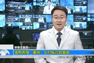 新春走基层(2.2)