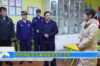 市领导赴安乡督导安全生产工作