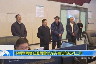 市领导调度低温雨雪冰冻灾害防范应对工作