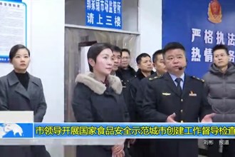市领导开展国家食品安全示范城市创建工作督导检查