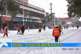 西洞庭：全力应对低温雨雪冰冻天气