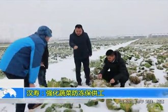 汉寿：强化蔬菜防冻保供工