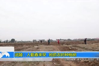 武陵：人勤春来早 抢抓农时种桃树
