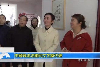 市领导走访慰问文艺家代表