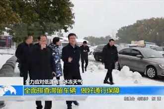 全力应对低温雨雪冰冻天气(2.8)