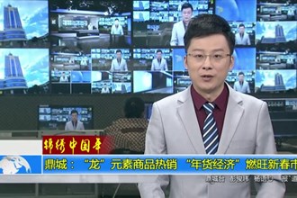 鼎城：“龙”元素商品热销 “年货经济”燃旺新春市场