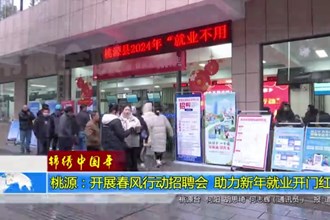 绵绣中国年(2.12)