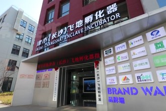 津市：“科技+产业+金融”良性循环 引领县域经济高质量发展