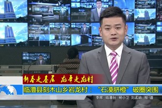 新春走基层 龙年走农村 临澧县刻木山乡岩龙村：“石漠脐橙”破圈突围