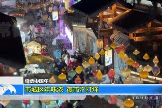 绵绣中国年(2.13)