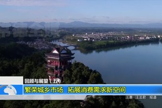 回顾与展望（五）繁荣城乡市场 拓展消费需求新空间