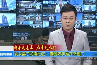 新春走基层 龙年走龙村 安乡县子龙社庵区： 勤劳双手推开幸福门