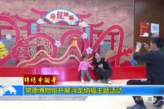 绵绣中国年(2.14)