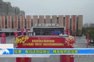 临澧：春风送岗促就业 精准服务助发展