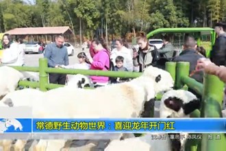 常德野生动物世界：喜迎龙年开门红