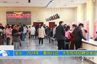 安乡：2024年“春风行动”大型现场招聘会举行